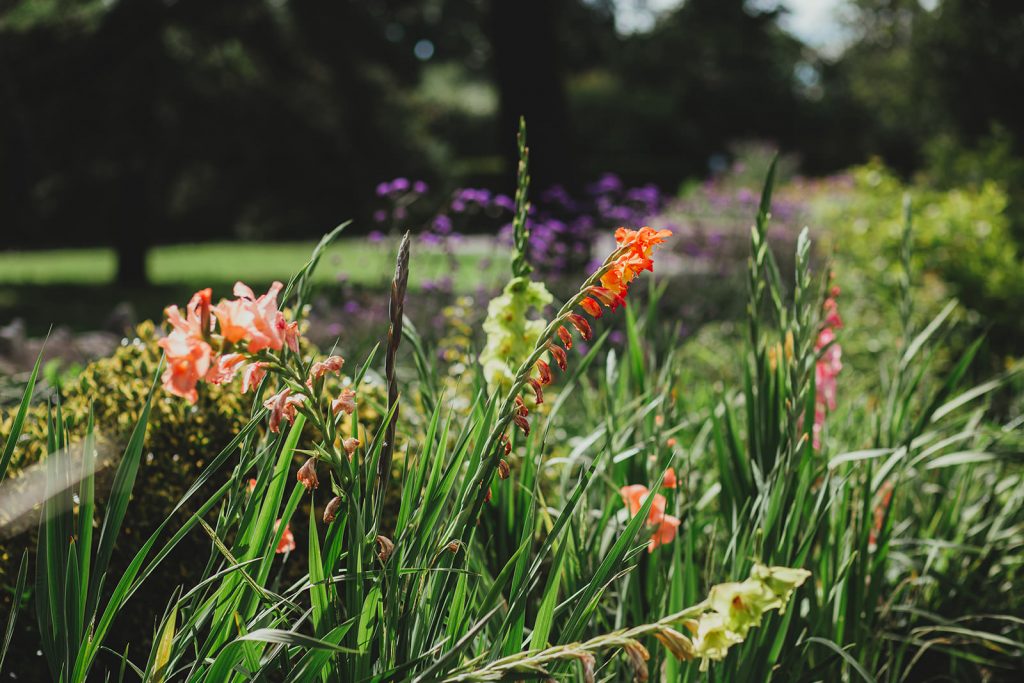 Danson House wedding venue, wedding photographer