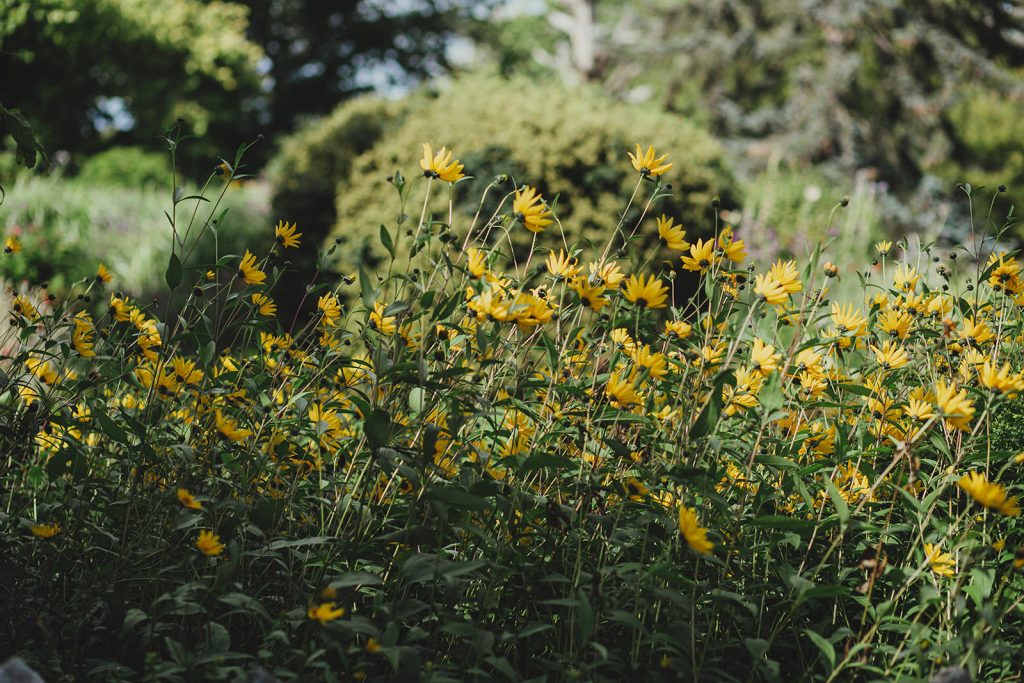 Danson House wedding venue, wedding photographer